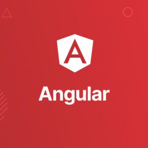 Angular - the complete guide for beginner