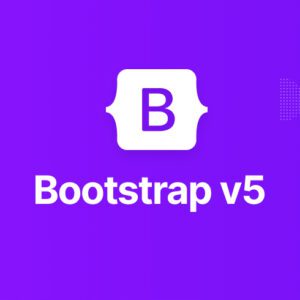 Bootstrap 5 Components Alerts Customization